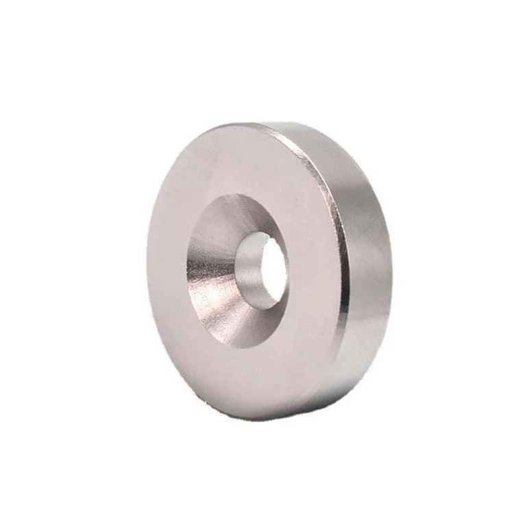 Factory Supplier Special-Shaped Magnets Magnetic Material